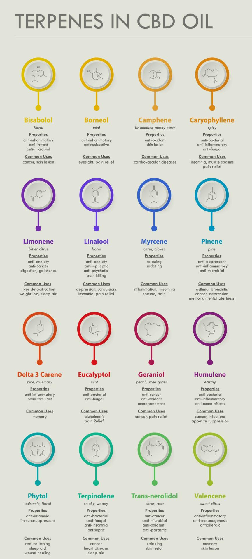 terpenes in cbd oil