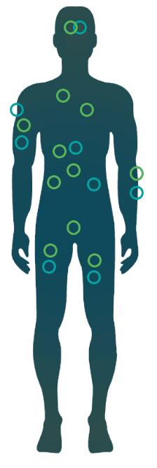 human body parts cbd targets